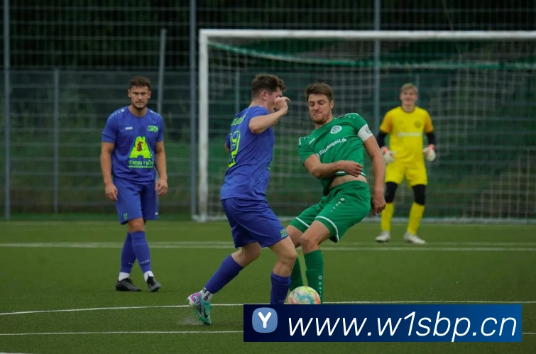 易倍emc官网怎么样发展历程